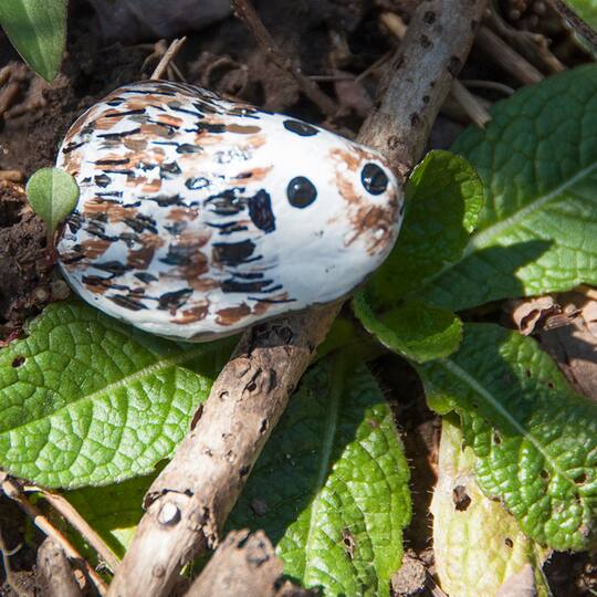 Find The Faber Castell Creativity For Kids Hide Seek Rock